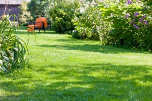 travaux jardin et paysage Belcastel